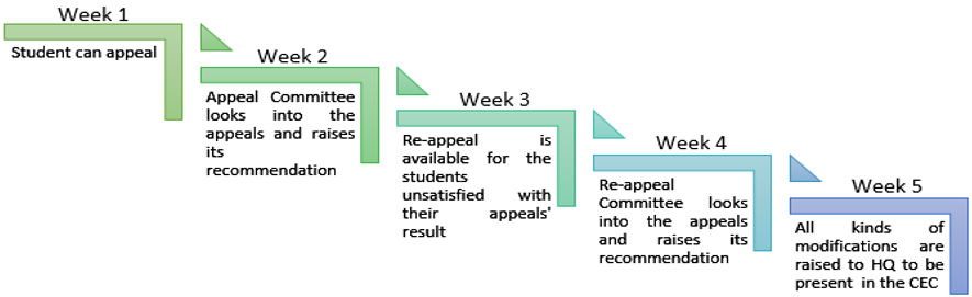 chart3.png